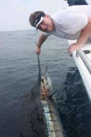 36_Sailfish_NickBailey_200809_2